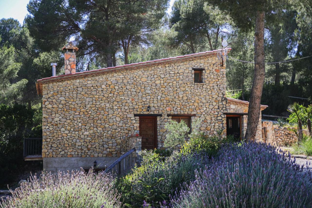 Masia Pou De La Vinya Appartement