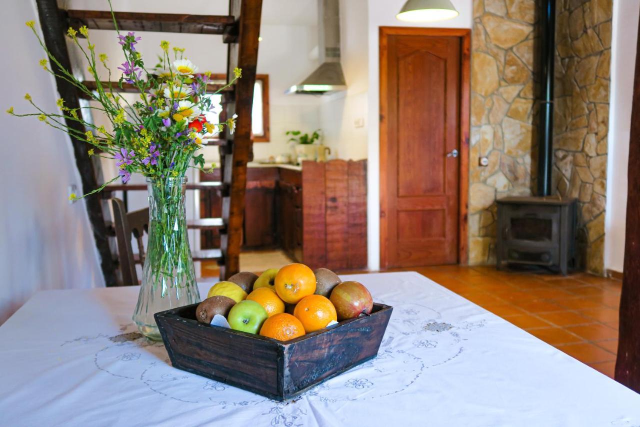 Appartement Masia Pou De La Vinya